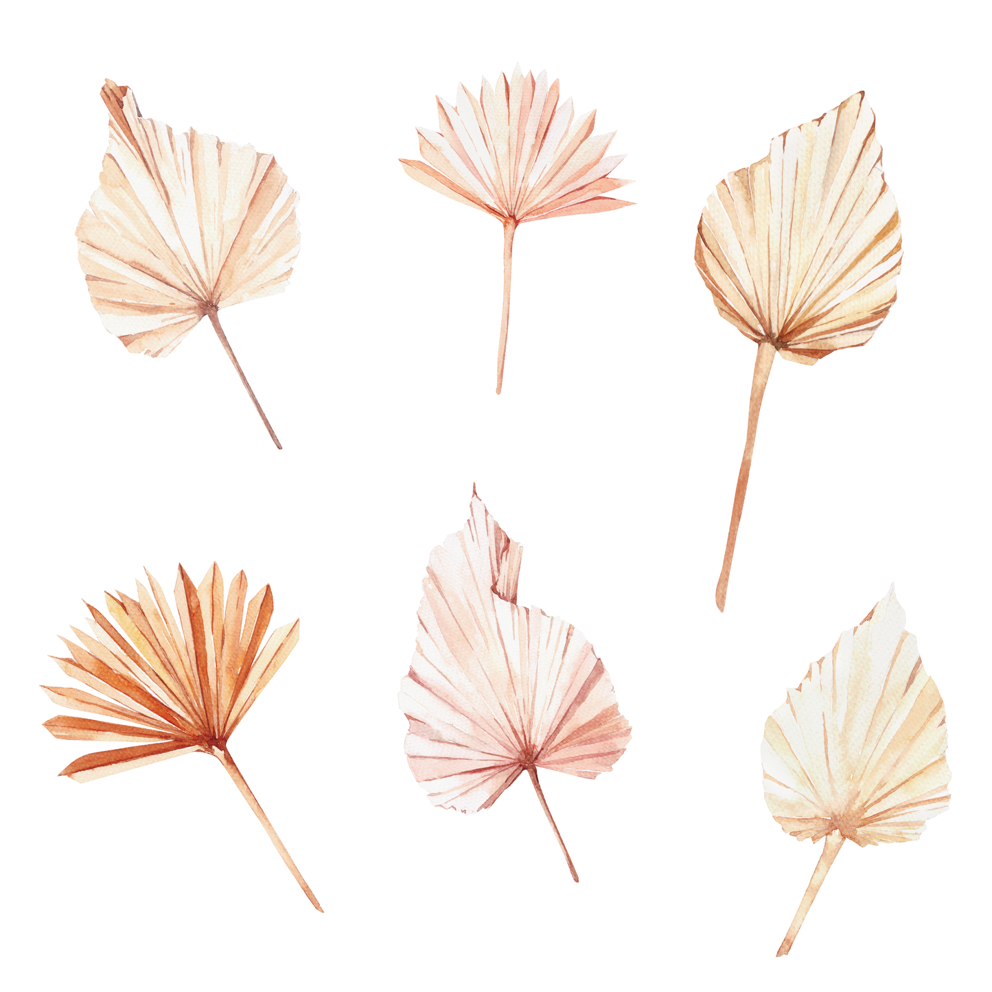 Boho Palms Wall Decals