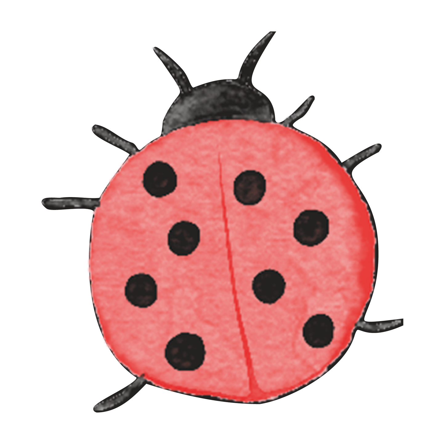 Lady Bug Wall Decal