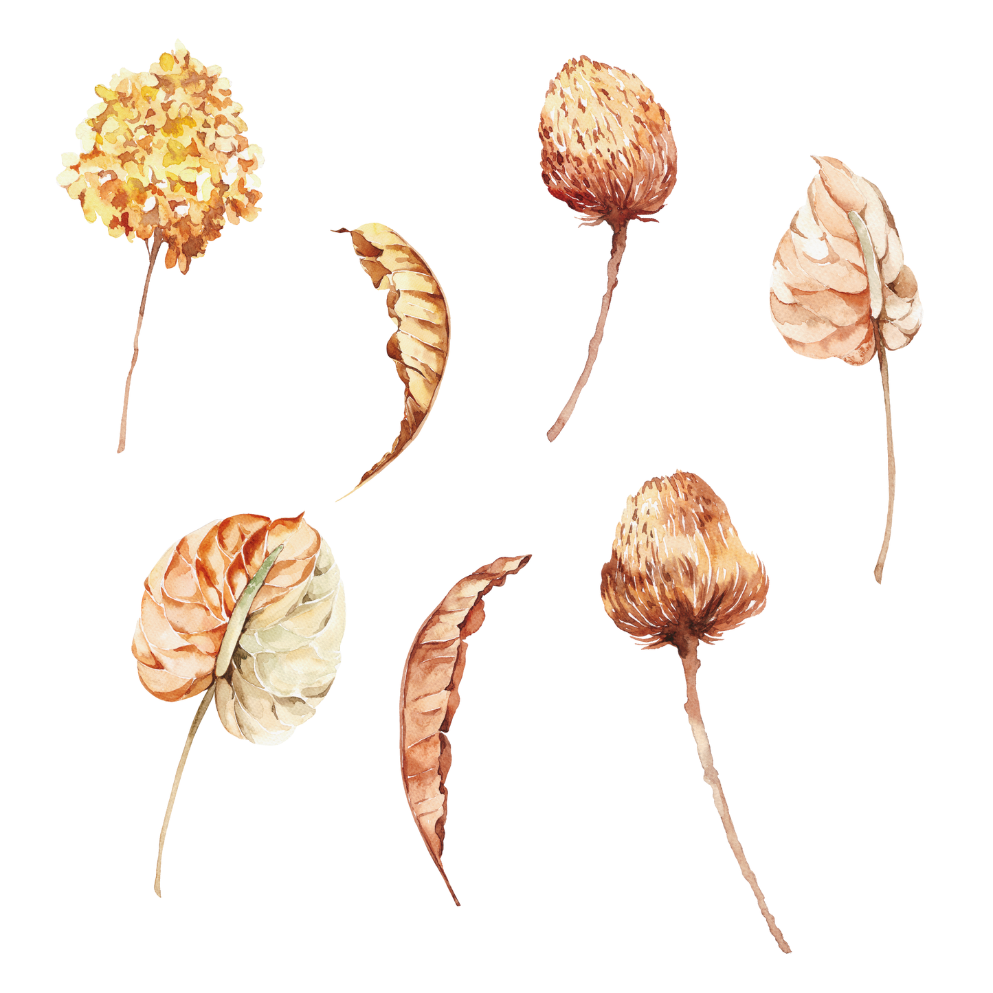 Foliole Wall Decals